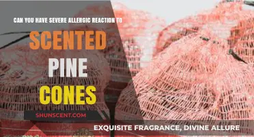 Scented Pine Cones: Uncovering the Risk of Severe Allergic Reactions