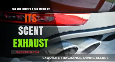Sniffing Out Car Models: Can Exhaust Smells Reveal Vehicle Identity?