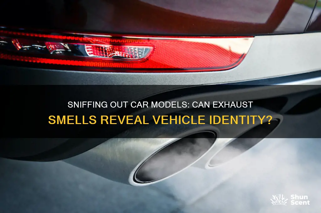 can you identify a car model by its scent exhaust