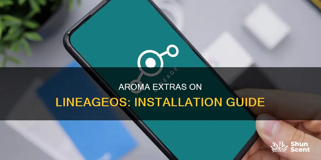 can you install aroma extras on li eageos