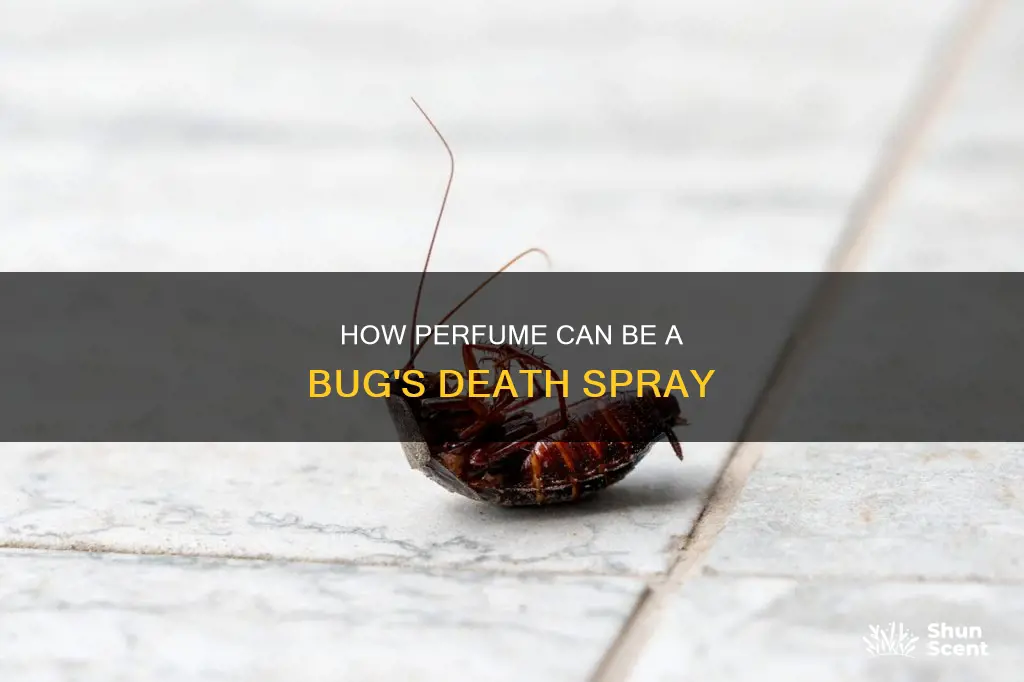 can you kill a bug with perfume