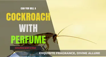 How to Kill Cockroaches With Perfume?