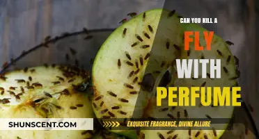 How to Kill Flies With Perfume
