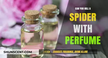 How to Kill Spiders With Perfume?
