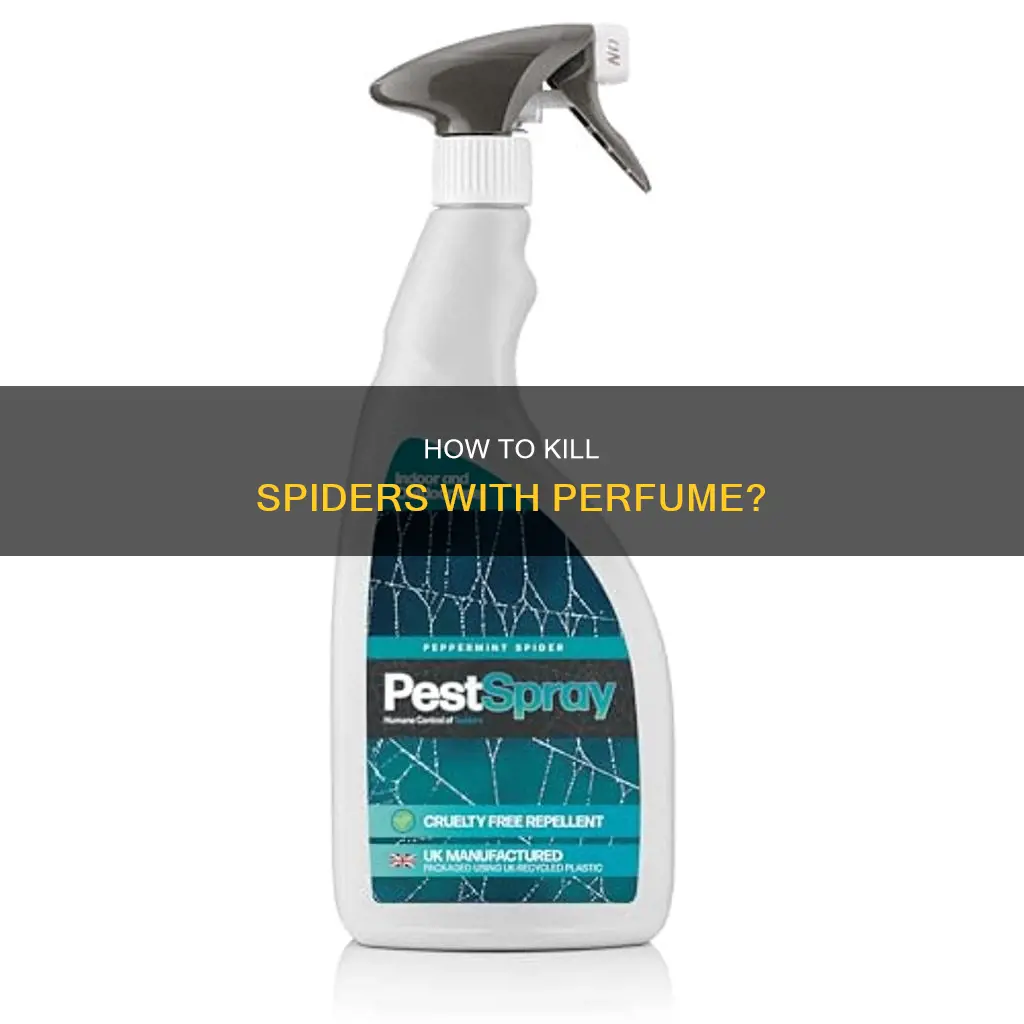 can you kill a spider with perfume
