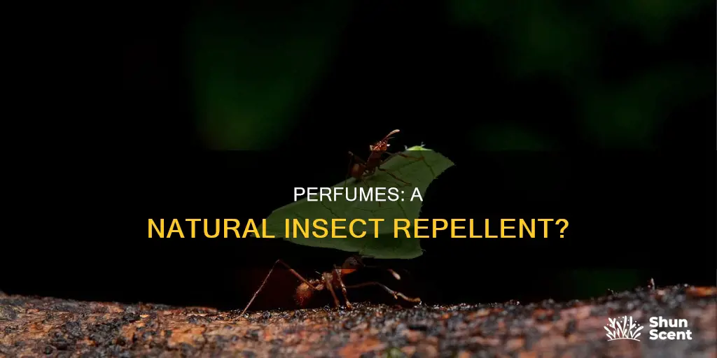 can you kill ants with perfume