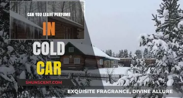 Cold Car, Perfume: Safe or Not?