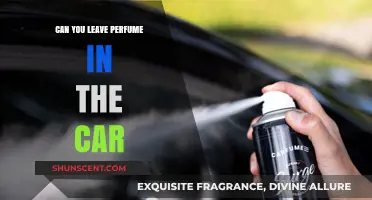Perfume in Your Car: Safe or Not?