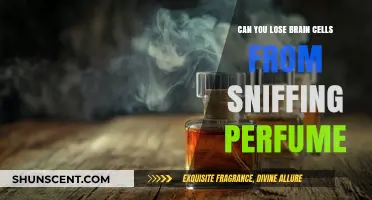 How Perfume Inhalation Impacts Brain Cells