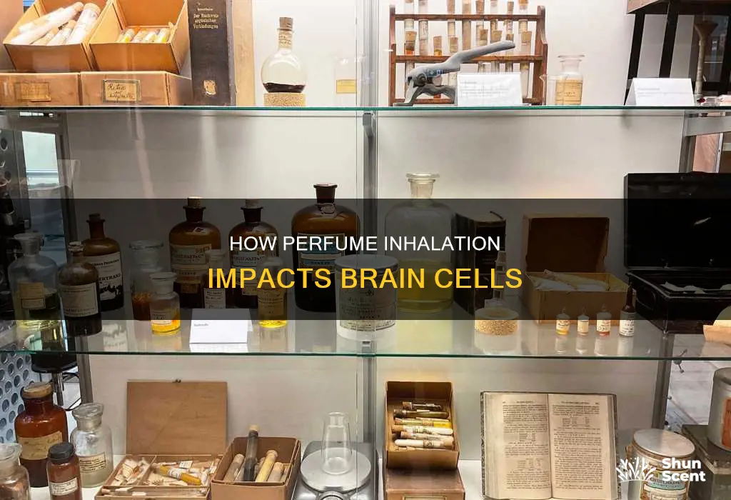 can you lose brain cells from sniffing perfume