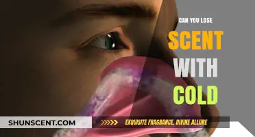 Can Cold Weather Impact Your Sense of Smell? Find Out Here