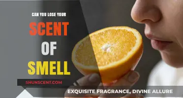 Can You Lose Your Sense of Smell? Causes and Solutions