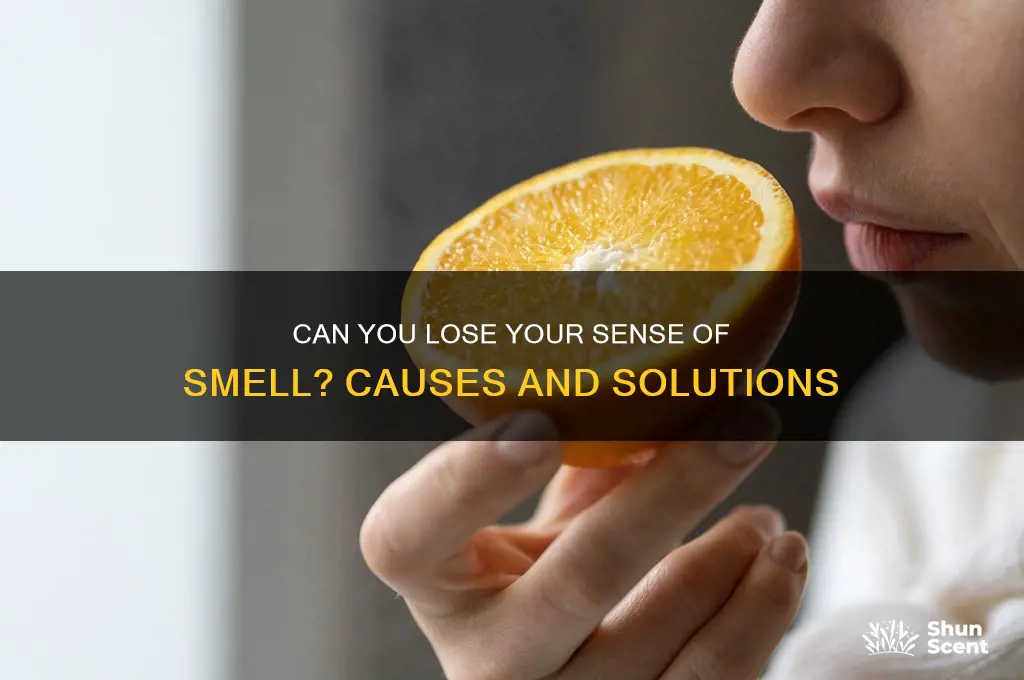can you lose your scent of smell