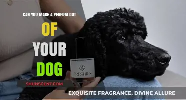 Creating a Scented Memory: Perfumes from Your Dog