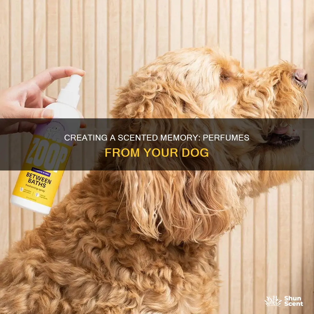 can you make a perfum out of your dog