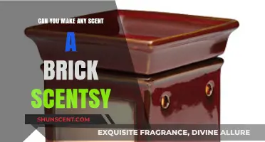 Transforming Any Scent into a Brick: Scentsy Customization Explained