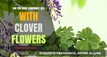 Making Fragrance Oils With Clover Flowers: A Beginner's Guide