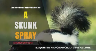 Skunk Spray: The Next Big Fragrance?
