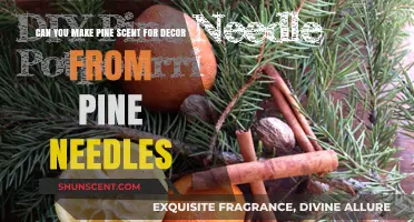 Crafting Pine Needle Scent for Home Decor: A DIY Guide