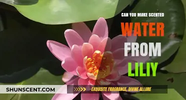 Crafting Fragrant Lily-Infused Water: A Simple DIY Guide