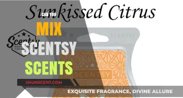 Mixing Scentsy Scents: Creative Blends for Personalized Aromatic Experiences