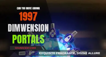 Moving Portals: Aroma 1997's Dimensional Travel