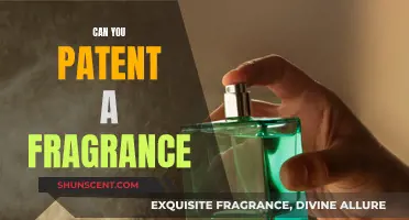 Patenting Fragrances: Is It Possible?