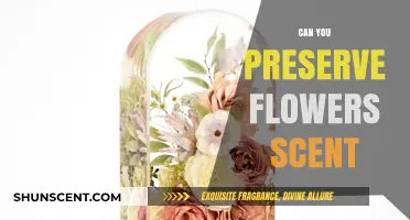 Preserving Floral Fragrance: Techniques to Capture and Keep Flower Scents
