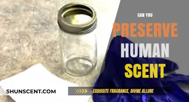 Preserving Human Scent: Techniques, Uses, and Ethical Considerations Explored