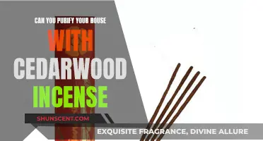 Cedarwood Incense: Purifying Your Home, Naturally