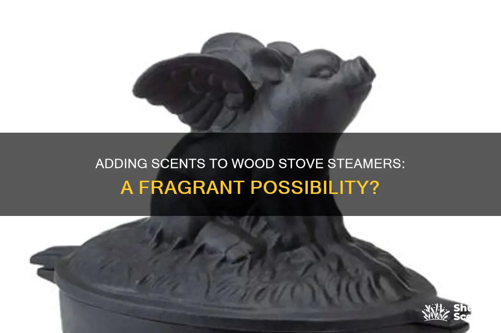 can you put a scent in a wood stove steamer