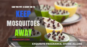 Natural Mosquito Repellents: Scent Strategies to Keep Bugs at Bay