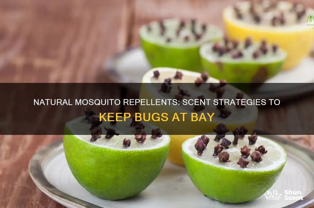 can you put a scent on to keep mosquitoes away
