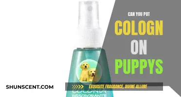 Colognes and Puppies: A Safe Combination?