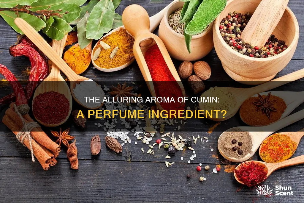 can you put cumin in a perfume