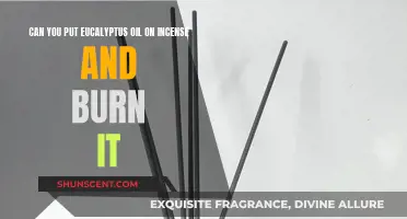 Burning Eucalyptus Oil on Incense: Safe or Not?