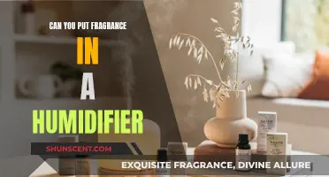 Using Fragrance in a Humidifier: What You Need to Know