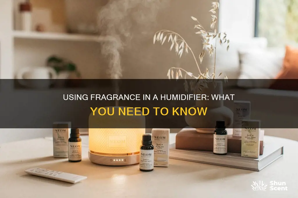 can you put fragrance in a humidifier