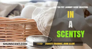 Can Laundry Scent Boosters Enhance Your Scentsy Experience?