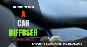 Use Perfume in Your Car Diffuser: Safe?