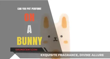 Should You Spray Perfume on Your Pet Bunny?