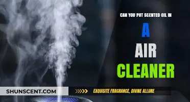 Scented Oils in Air Cleaners: Safe or Risky Practice?