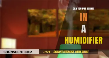 Can You Add Scents to a Humidifier? Essential Oil Tips
