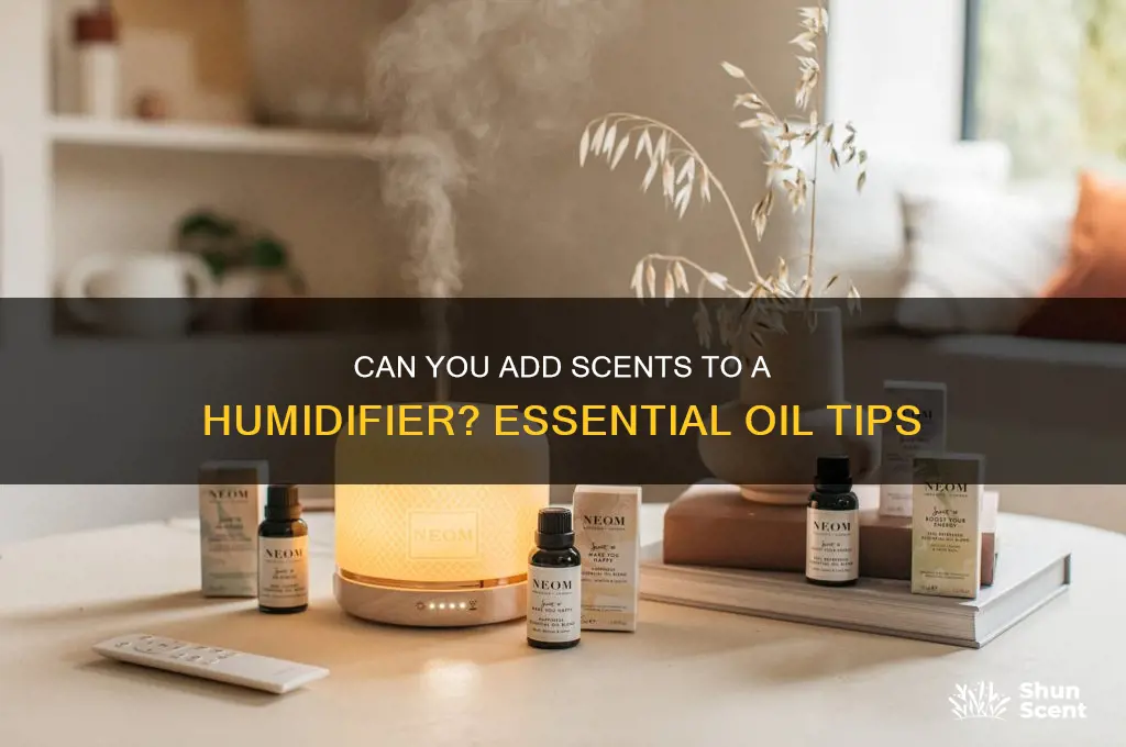 can you put scents in a humidifier