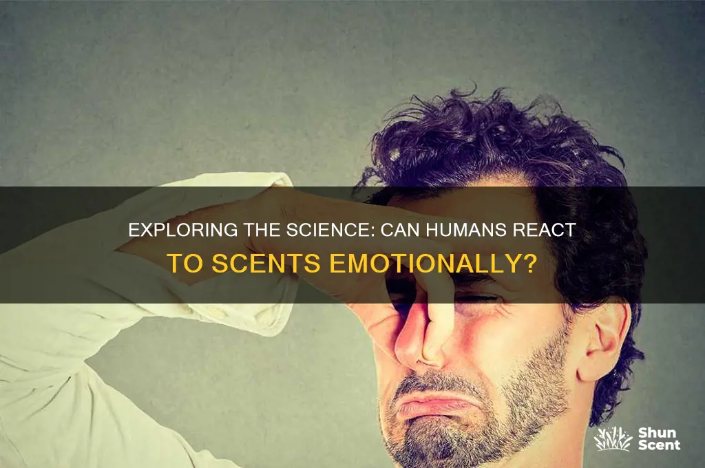 can you react to a scent
