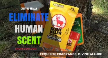 Eliminating Human Scent: Myth or Reality? Expert Tips Revealed