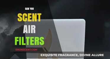 Can You Scent Air Filters? Exploring Aromatic Air Purification Options