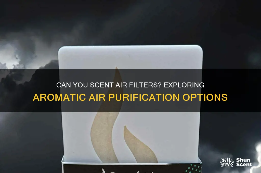 can you scent air filters