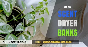 Can You Scent Dryer Balls? A Fresh Laundry Hack Explained