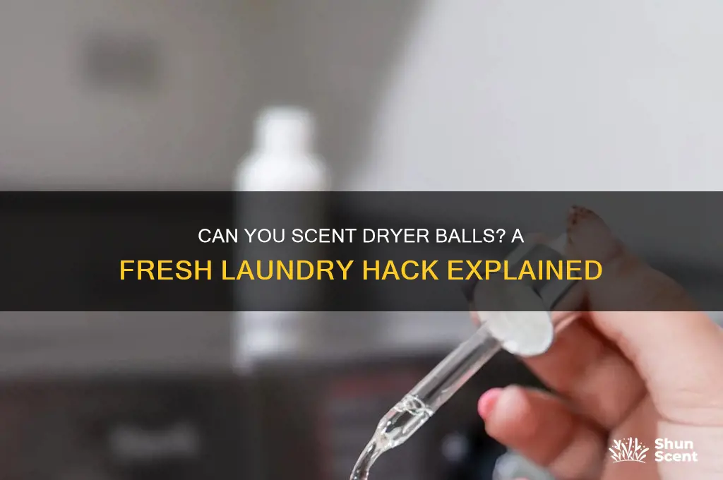 can you scent dryer bakks